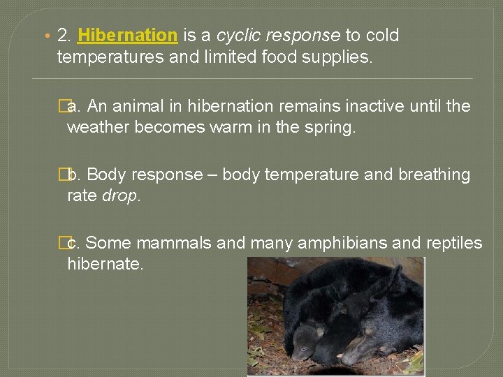  • 2. Hibernation is a cyclic response to cold temperatures and limited food
