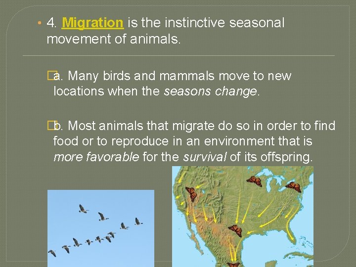  • 4. Migration is the instinctive seasonal movement of animals. �a. Many birds