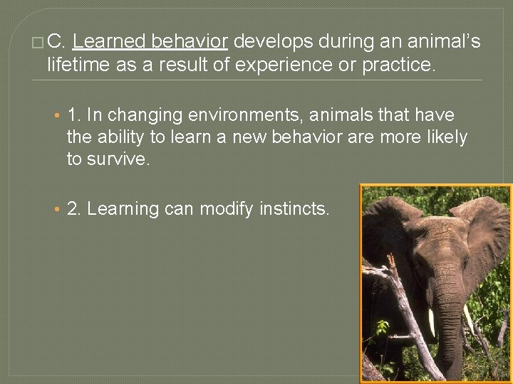 � C. Learned behavior develops during an animal’s lifetime as a result of experience