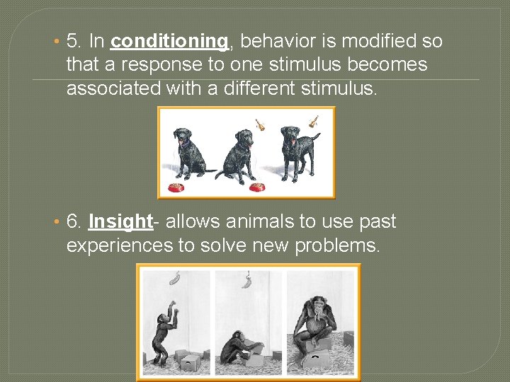  • 5. In conditioning, behavior is modified so that a response to one