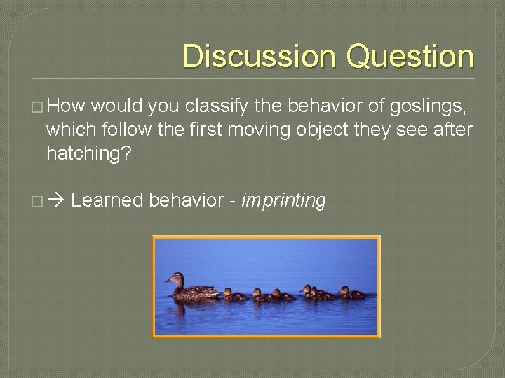 Discussion Question � How would you classify the behavior of goslings, which follow the