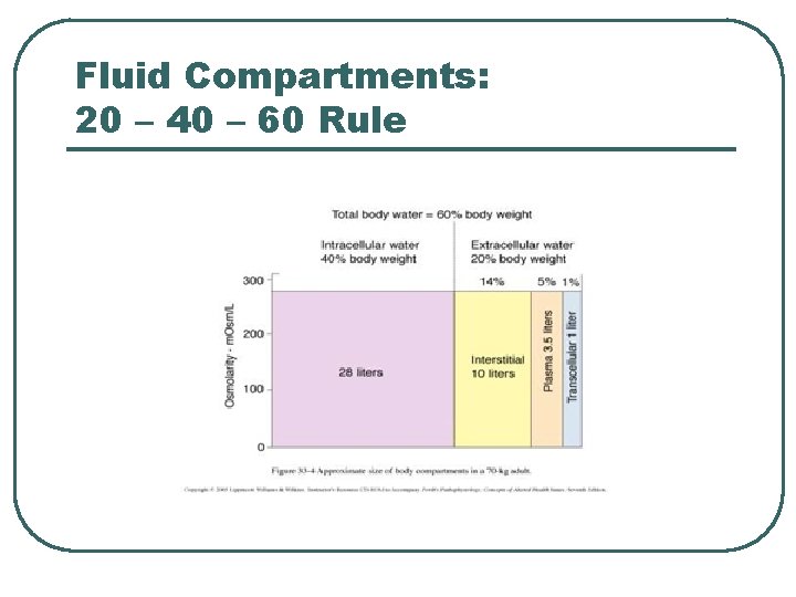 Fluid Compartments: 20 – 40 – 60 Rule 