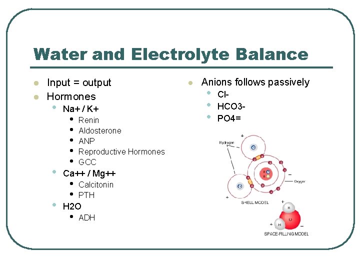 Water and Electrolyte Balance l l Input = output Hormones • • • Na+