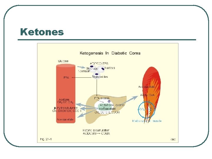 Ketones 