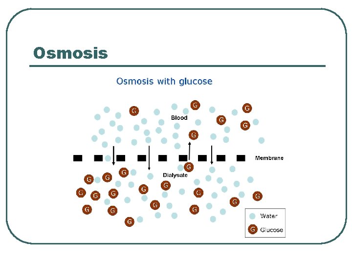 Osmosis 