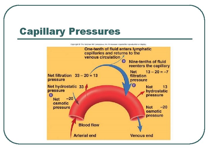 Capillary Pressures 