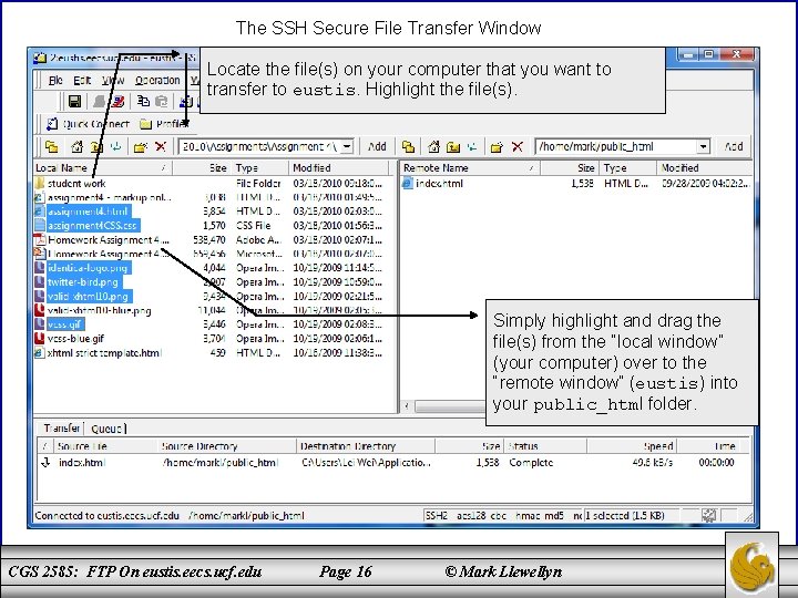 The SSH Secure File Transfer Window Locate the file(s) on your computer that you