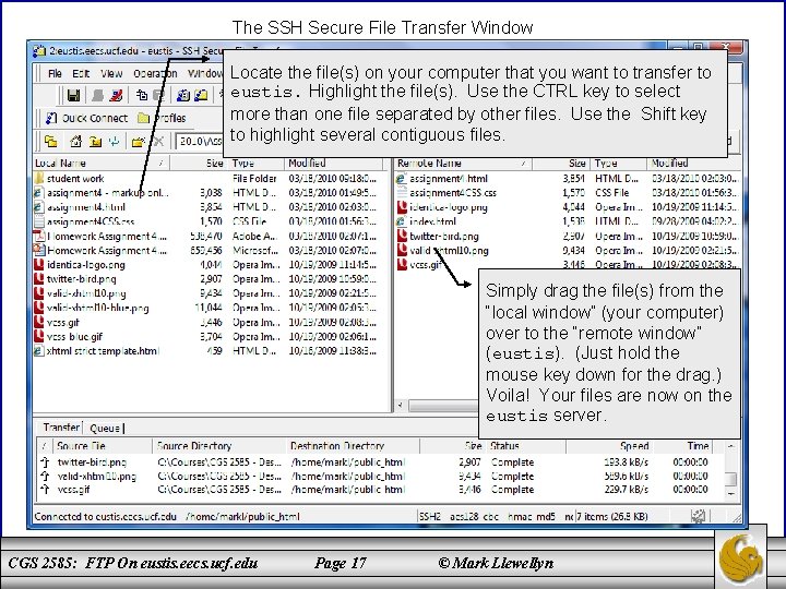 The SSH Secure File Transfer Window Locate the file(s) on your computer that you