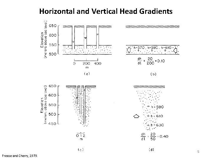 Horizontal and Vertical Head Gradients Freeze and Cherry, 1979. 5 