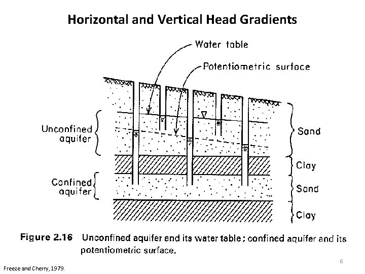 Horizontal and Vertical Head Gradients Freeze and Cherry, 1979. 6 