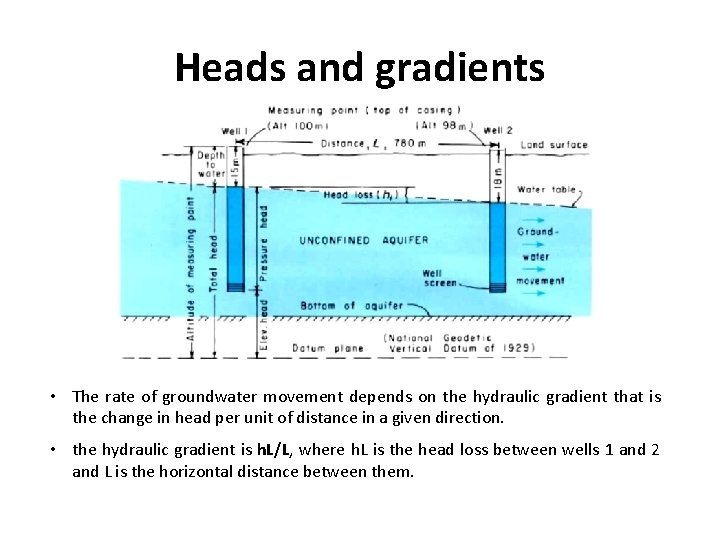 Heads and gradients • The rate of groundwater movement depends on the hydraulic gradient