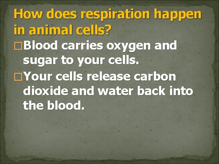 How does respiration happen in animal cells? �Blood carries oxygen and sugar to your