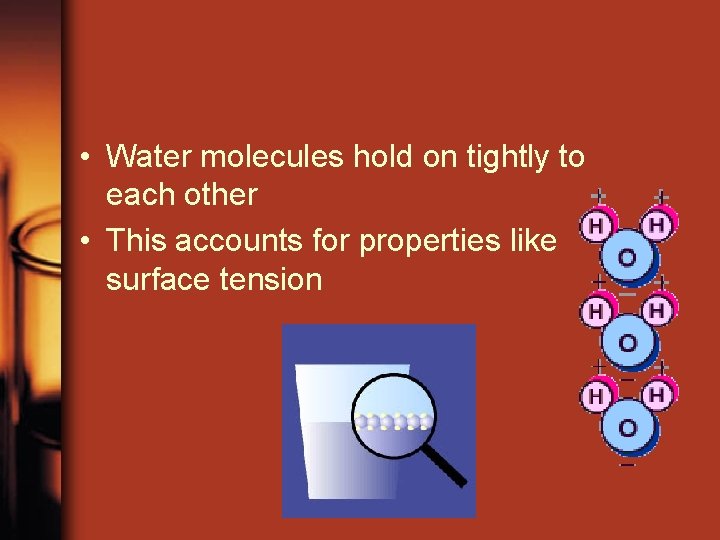  • Water molecules hold on tightly to each other • This accounts for