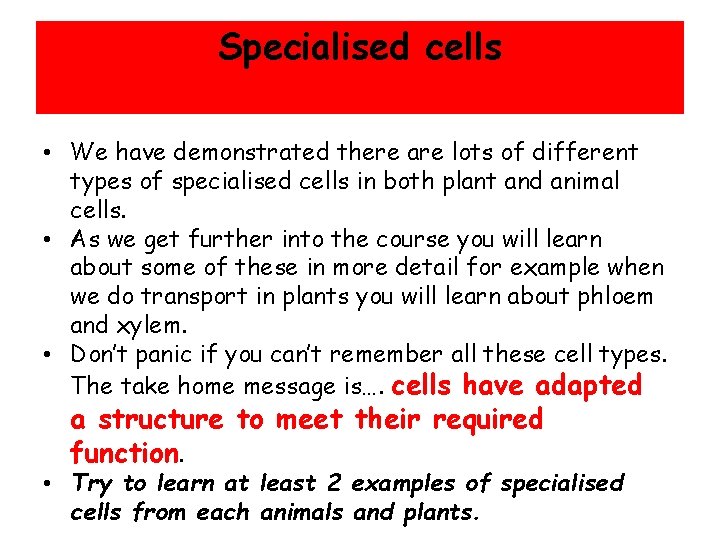 Specialised cells • We have demonstrated there are lots of different types of specialised