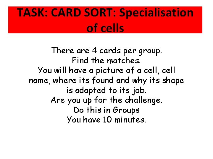 TASK: CARD SORT: Specialisation of cells There are 4 cards per group. Find the