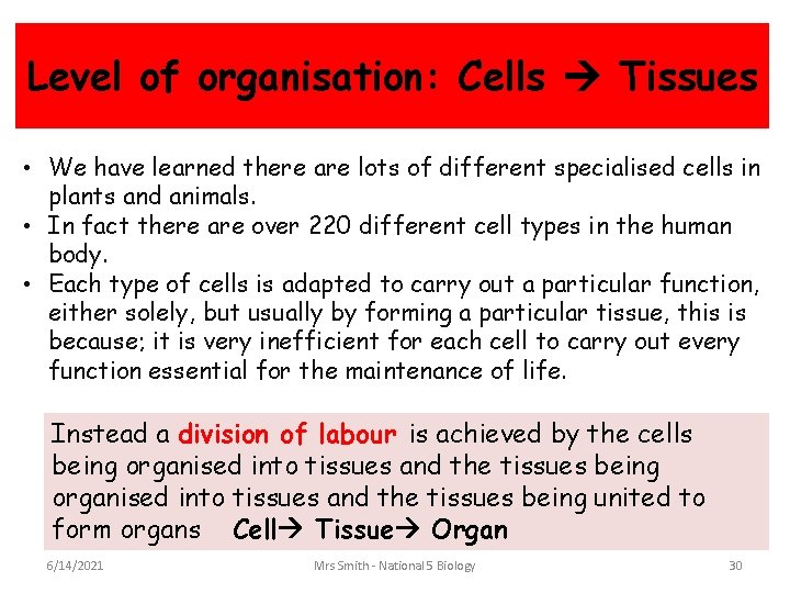 Level of organisation: Cells Tissues • We have learned there are lots of different
