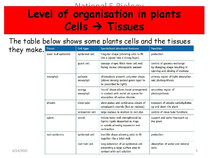 National 5 Biology Level of organisation in plants Cells Tissues The table below shows
