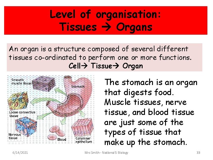 Level of organisation: Tissues Organs An organ is a structure composed of several different