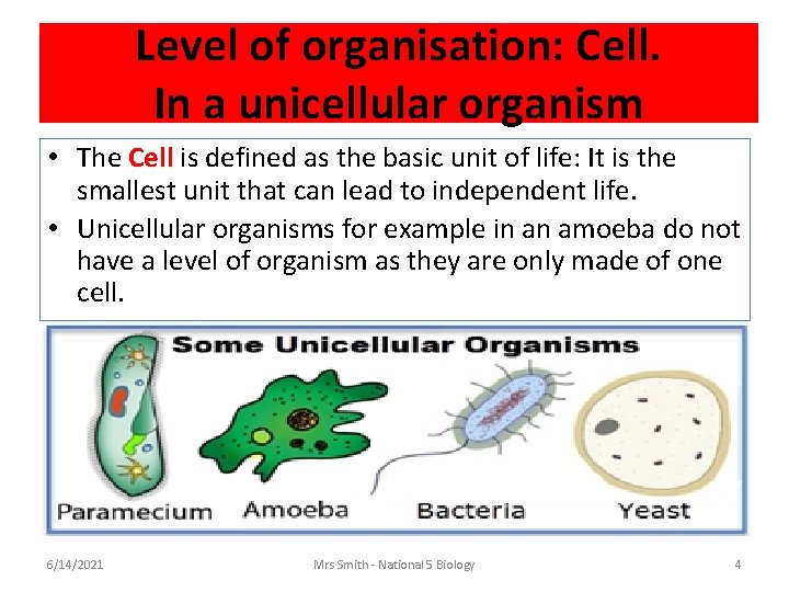 Level of organisation: Cell. In a unicellular organism • The Cell is defined as