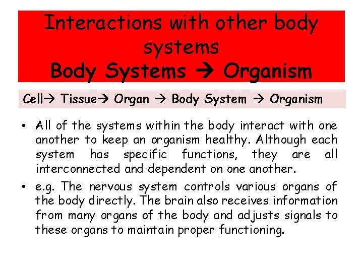 Interactions with other body systems Body Systems Organism Cell Tissue Organ Body System Organism