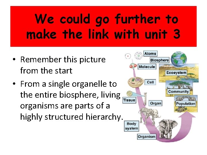 We could go further to make the link with unit 3 • Remember this