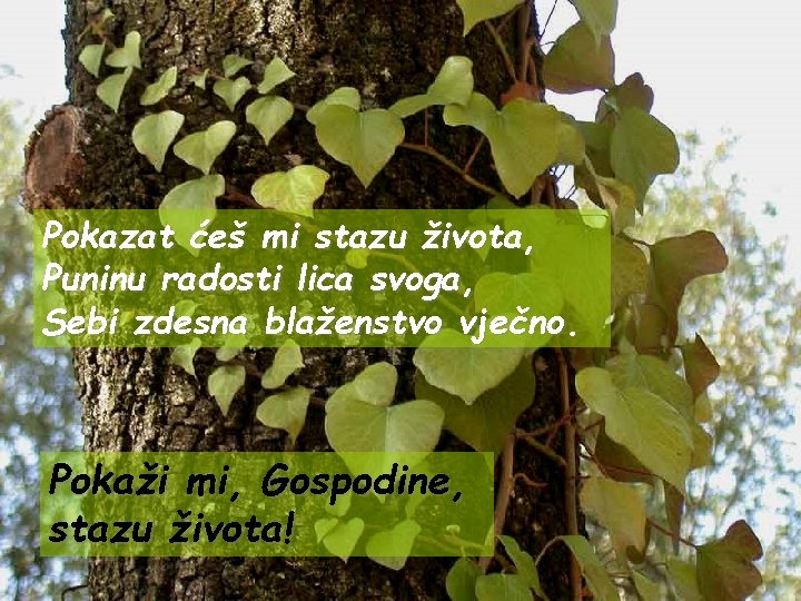 Pokazat ćeš mi stazu života, Puninu radosti lica svoga, Sebi zdesna blaženstvo vječno. Pokaži