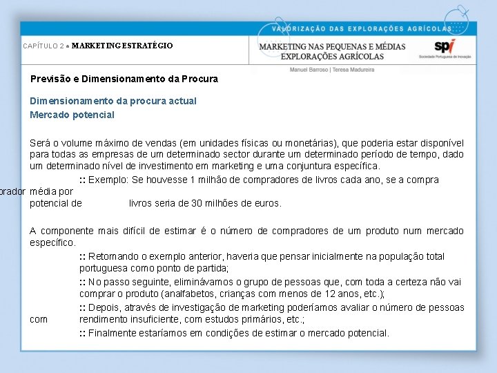 CAPÍTULO 2 ● MARKETING ESTRATÉGIO Previsão e Dimensionamento da Procura Dimensionamento da procura actual