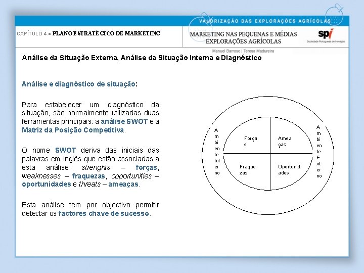 CAPÍTULO 4 ● PLANO ESTRATÉGICO DE MARKETING Análise da Situação Externa, Análise da Situação