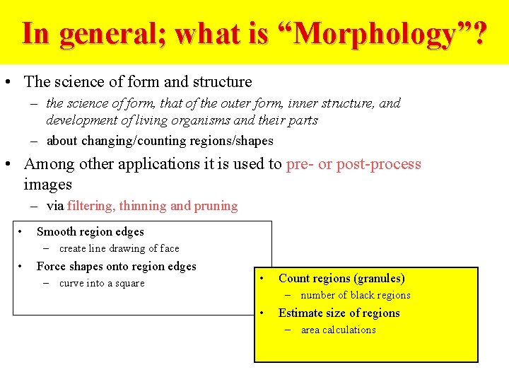 In general; what is “Morphology”? • The science of form and structure – the