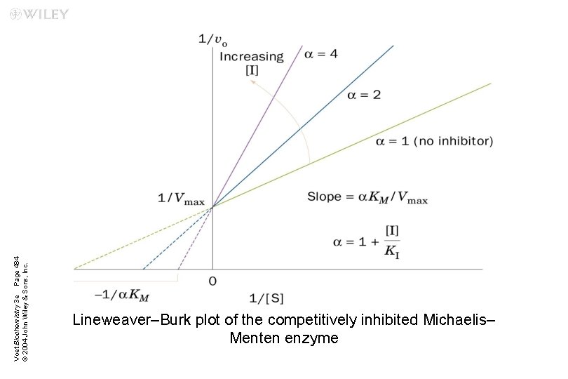 Voet Biochemistry 3 e Page 484 © 2004 John Wiley & Sons, Inc. Lineweaver–Burk