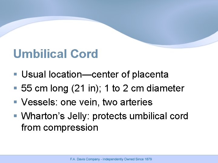 Umbilical Cord § § Usual location—center of placenta 55 cm long (21 in); 1