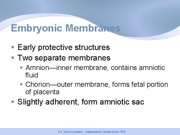 Embryonic Membranes § Early protective structures § Two separate membranes § Amnion—inner membrane, contains
