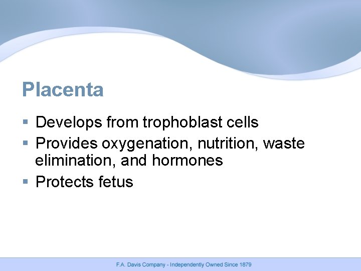 Placenta § Develops from trophoblast cells § Provides oxygenation, nutrition, waste elimination, and hormones