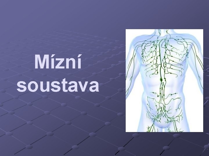 Mízní soustava 