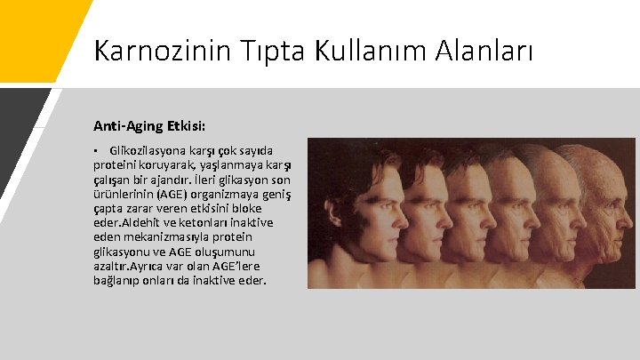 Karnozinin Tıpta Kullanım Alanları Anti-Aging Etkisi: • Glikozilasyona karşı çok sayıda proteini koruyarak, yaşlanmaya