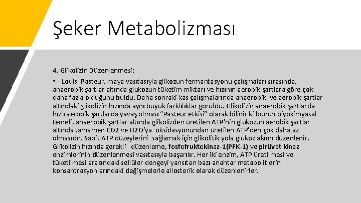 Şeker Metabolizması 4. Glikolizin Düzenlenmesi: • Louis Pasteur, maya vasıtasıyla glikozun fermantasyonu çalışmaları sırasında,