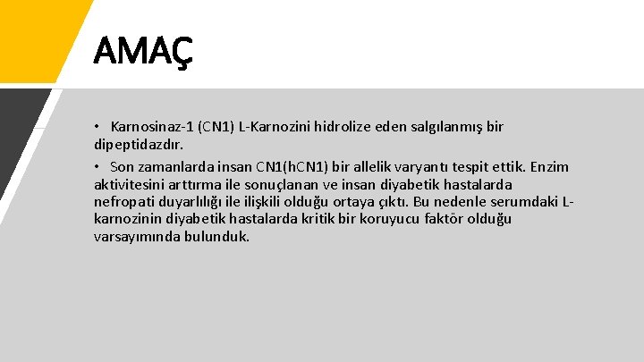 AMAÇ • Karnosinaz-1 (CN 1) L-Karnozini hidrolize eden salgılanmış bir dipeptidazdır. • Son zamanlarda