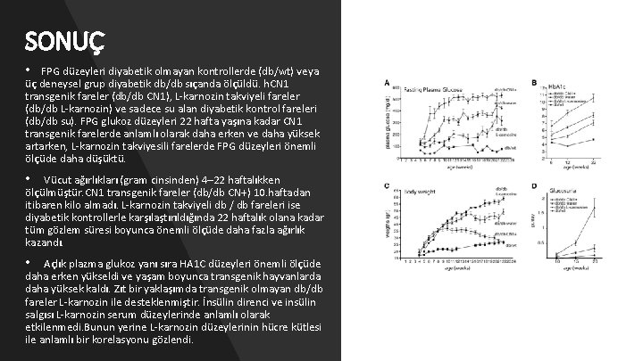 SONUÇ • FPG düzeyleri diyabetik olmayan kontrollerde (db/wt) veya üç deneysel grup diyabetik db/db