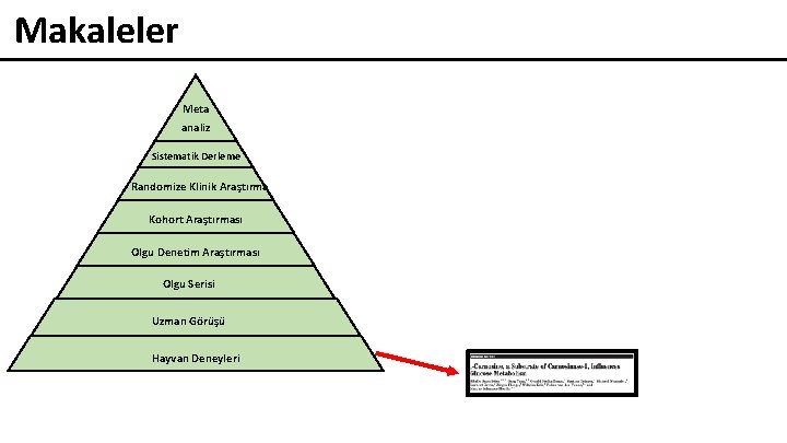 Makaleler Meta analiz Sistematik Derleme Randomize Klinik Araştırma Kohort Araştırması Olgu Denetim Araştırması Olgu