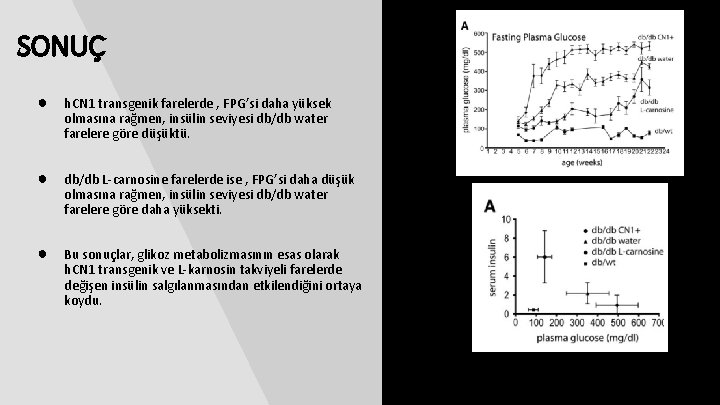 SONUÇ ● h. CN 1 transgenik farelerde , FPG’si daha yüksek olmasına rağmen, insülin