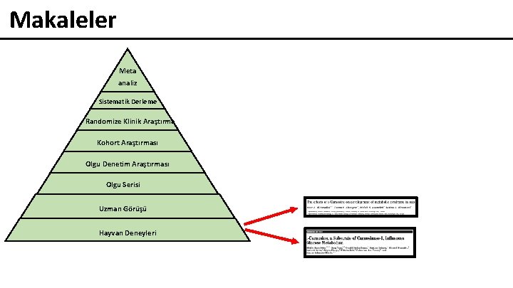 Makaleler Meta analiz Sistematik Derleme Randomize Klinik Araştırma Kohort Araştırması Olgu Denetim Araştırması Olgu