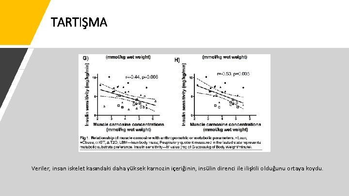 TARTIŞMA Veriler, insan iskelet kasındaki daha yüksek karnozin içeriğinin, insülin direnci ile ilişkili olduğunu