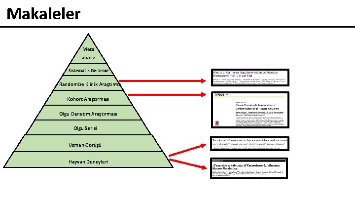 Makaleler Meta analiz Sistematik Derleme Randomize Klinik Araştırma Kohort Araştırması Olgu Denetim Araştırması Olgu
