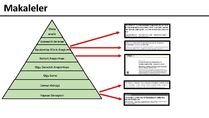 Makaleler Meta analiz Sistematik Derleme Randomize Klinik Araştırma Kohort Araştırması Olgu Denetim Araştırması Olgu