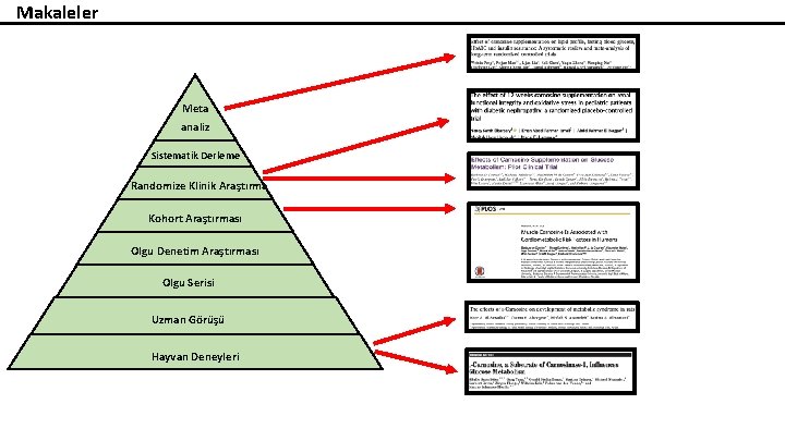Makaleler Meta analiz Sistematik Derleme Randomize Klinik Araştırma Kohort Araştırması Olgu Denetim Araştırması Olgu