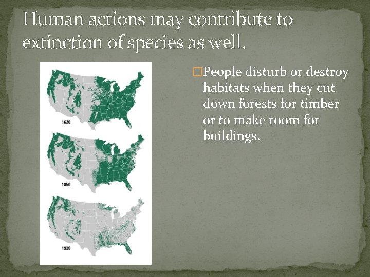 Human actions may contribute to extinction of species as well. �People disturb or destroy