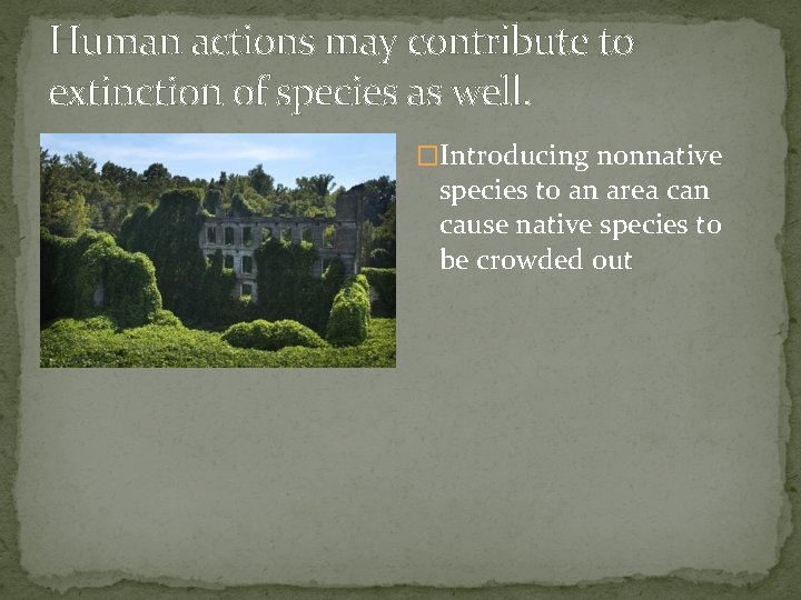 Human actions may contribute to extinction of species as well. �Introducing nonnative species to