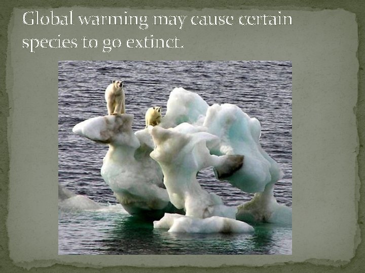 Global warming may cause certain species to go extinct. 