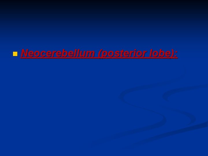n Neocerebellum (posterior lobe): 