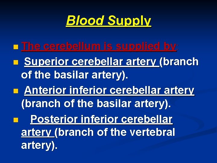 Blood Supply n The cerebellum is supplied by: n Superior cerebellar artery (branch of